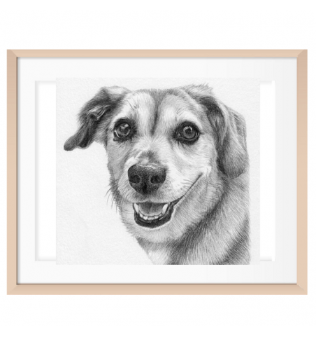 Custom Pencil Pet Sketch