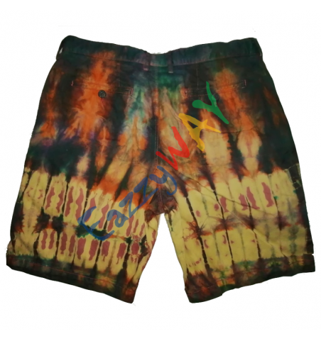 Savanna Men's Shorts