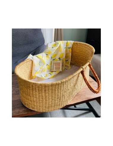 Baby Moses Basket with pad