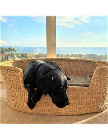 Dog Basket Bed